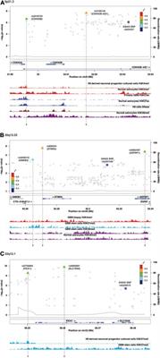Meta-Analyses of Splicing and Expression Quantitative Trait Loci Identified Susceptibility Genes of Glioma